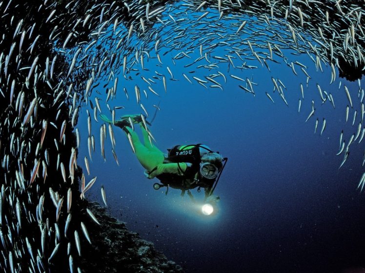 scuba, Diving, People, Mask, Underwater, Fishes, Ocean, Caves, Nature HD Wallpaper Desktop Background