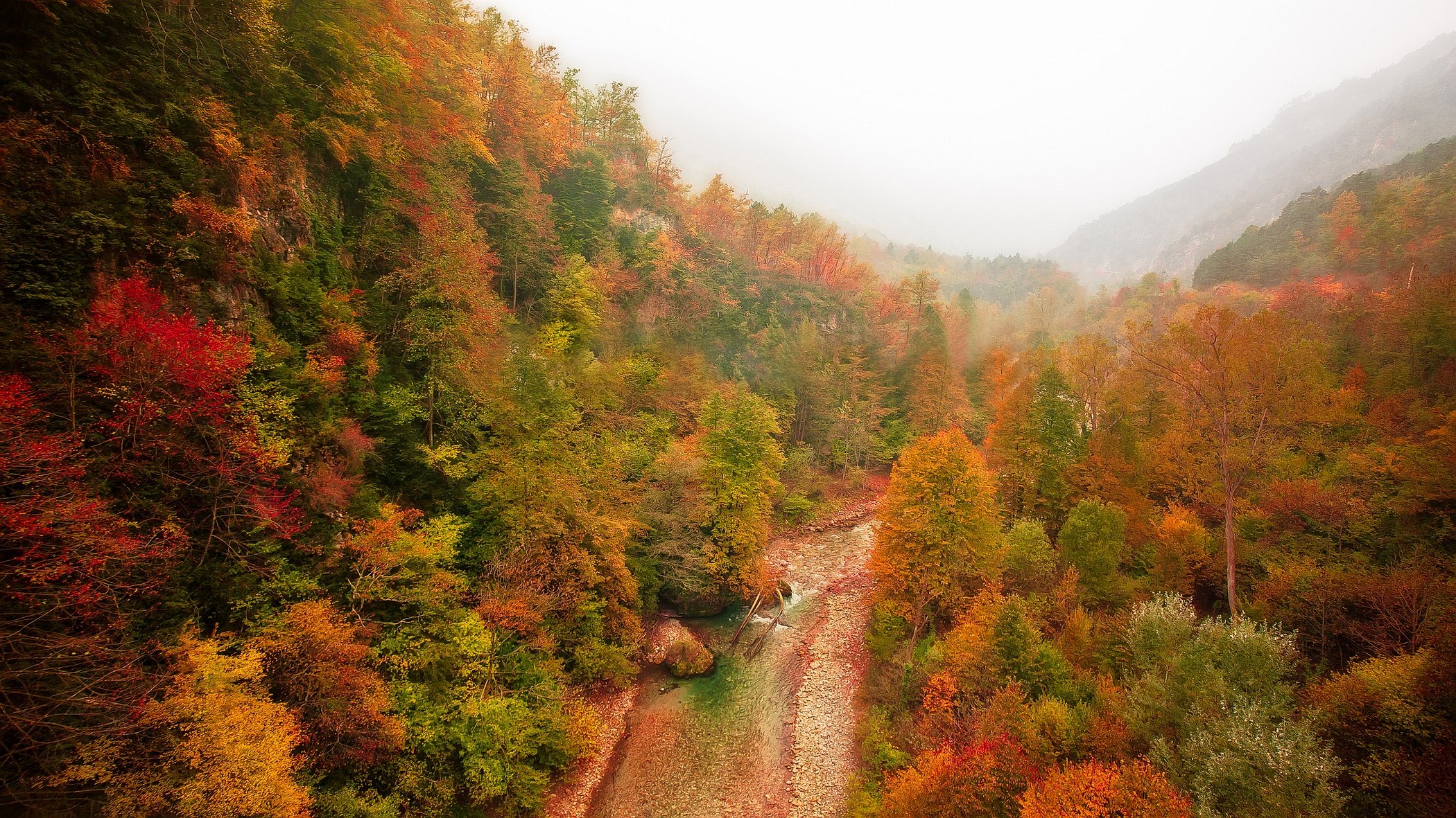 305704 Wallpapers HD / Desktop and Mobile Backgrounds