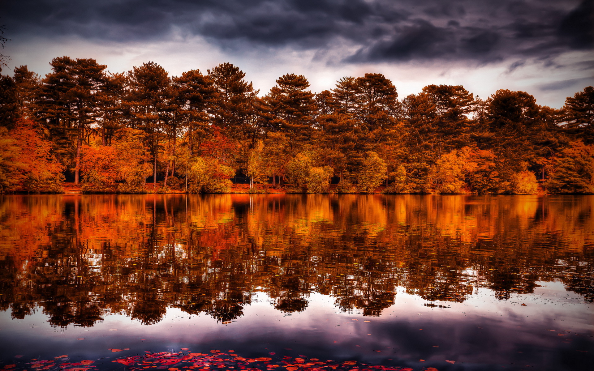 reflection, Trees, Forest, Shore, Autumn, Fall, Sky Wallpaper