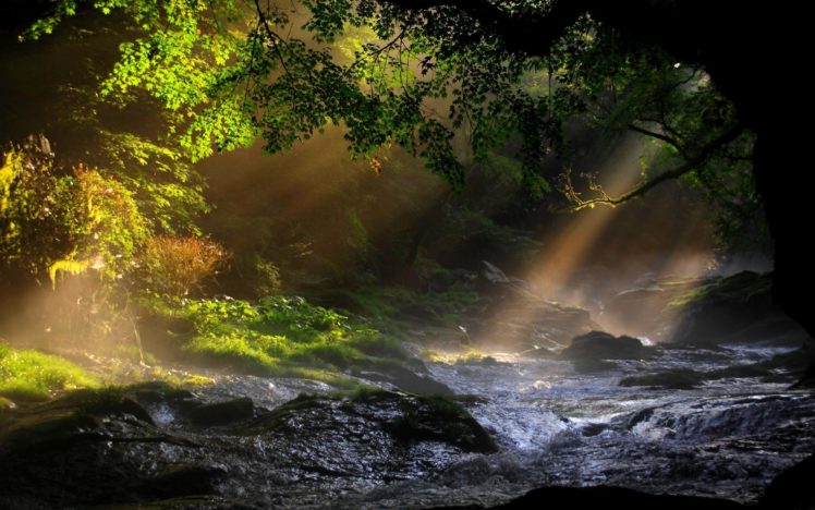 lanscapes, Trees, Forest, Water, Rapids, Sunlight, Beam, Ray HD Wallpaper Desktop Background