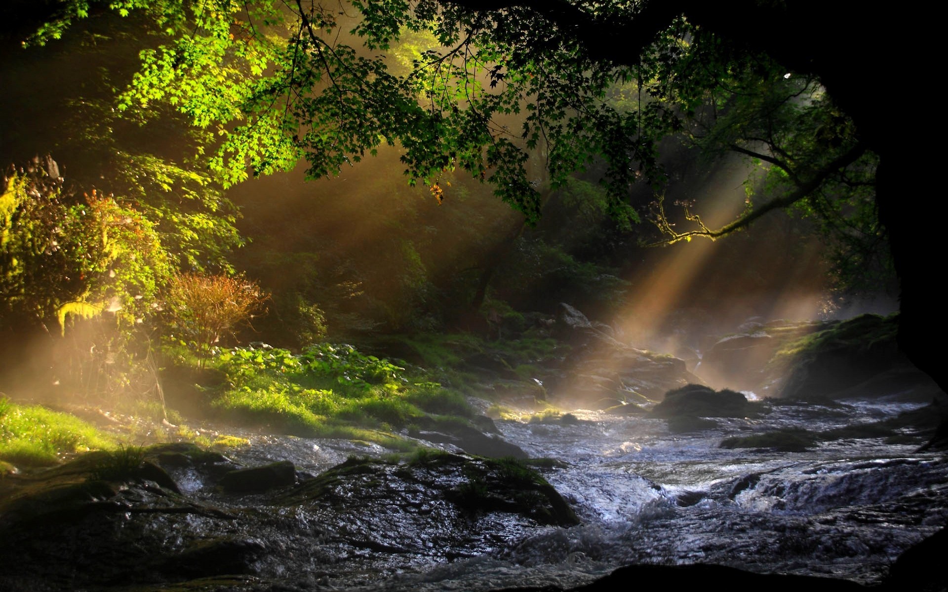 lanscapes, Trees, Forest, Water, Rapids, Sunlight, Beam, Ray Wallpaper