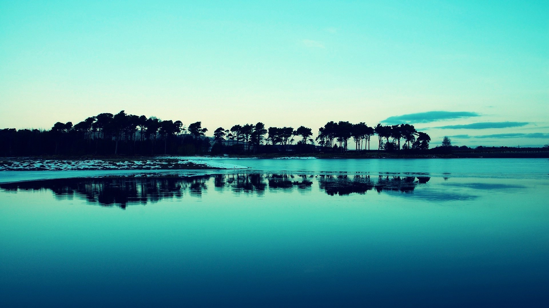 shore, Landscapes, Trees, Sunrise, Sunset Wallpaper