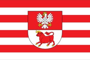 2000px pol, Powiat, Bielski,  podlaski , Flag, Svg