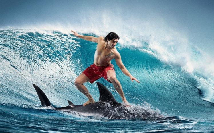 surfing, Humor, Sadic, Shark, Ocean, Waves, Men HD Wallpaper Desktop Background