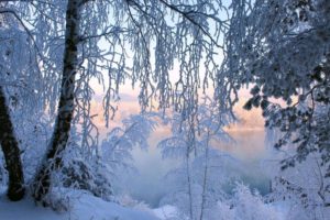landscapes, Nature, Snow, Trees