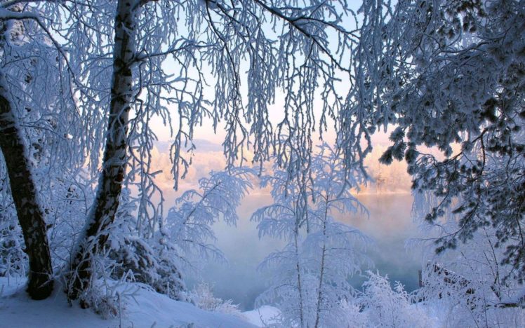 landscapes, Nature, Snow, Trees HD Wallpaper Desktop Background