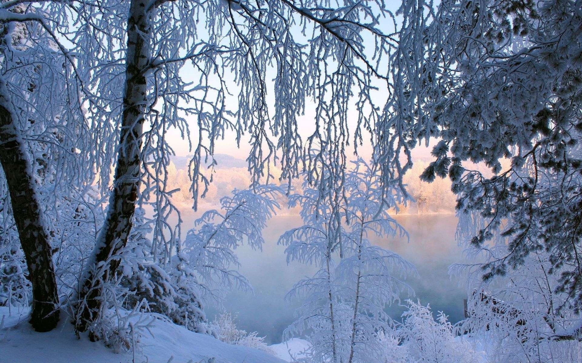 landscapes, Nature, Snow, Trees Wallpaper