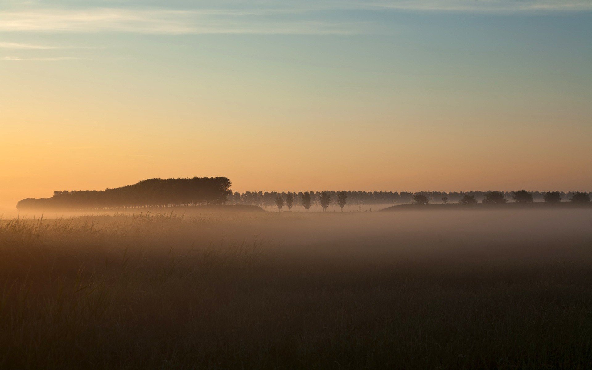 landscapes, Nature, Fog Wallpaper