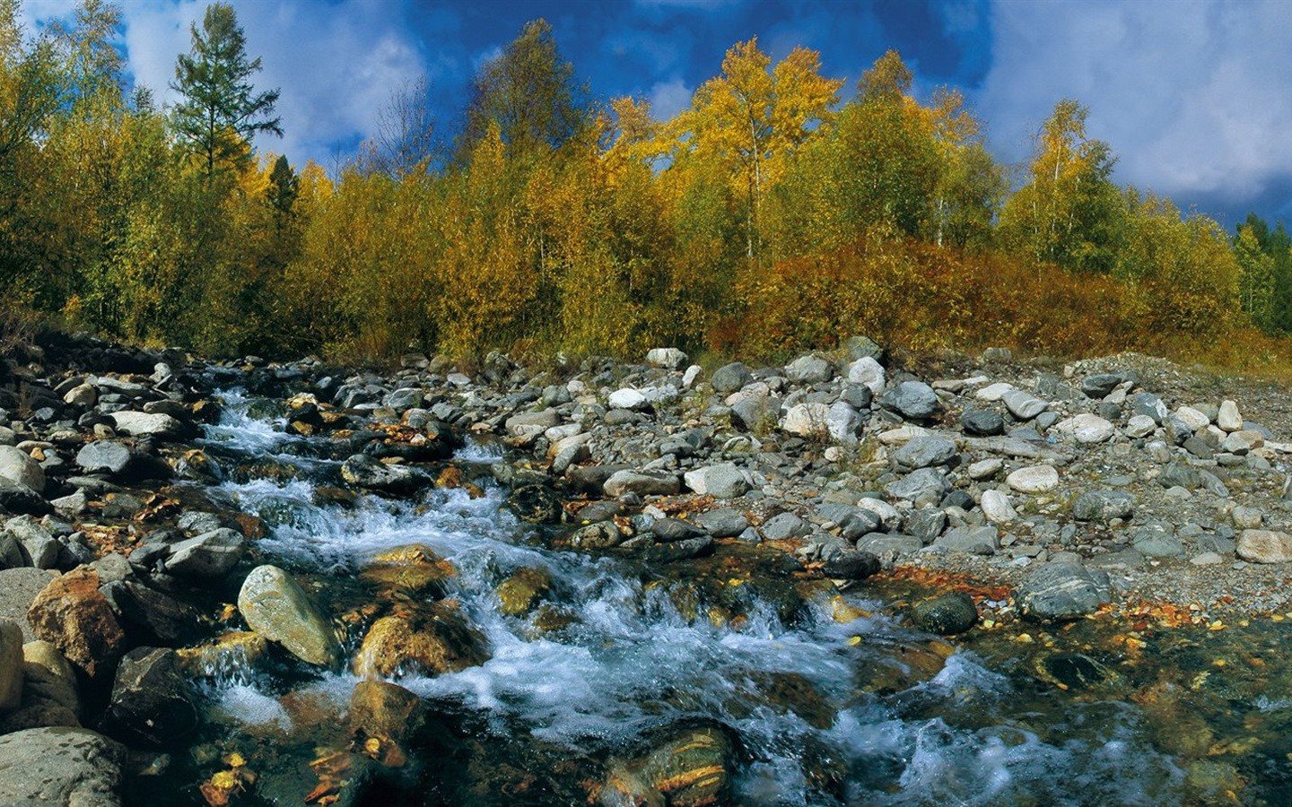 nature, Autumn, Siberia Wallpaper