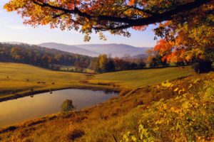 landscapes, Nature, Trees, Autumn, Forests, Hills, Ponds