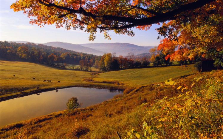 landscapes, Nature, Trees, Autumn, Forests, Hills, Ponds HD Wallpaper Desktop Background