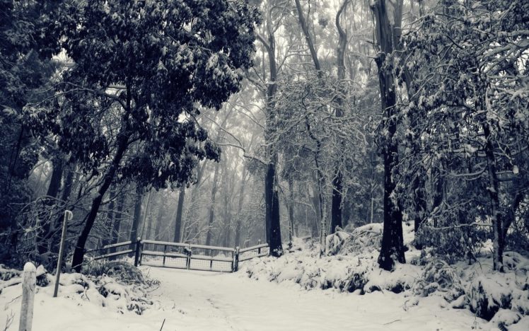 roads, Landscapes, Winter, Snow, Forest, Fence, Gates HD Wallpaper Desktop Background