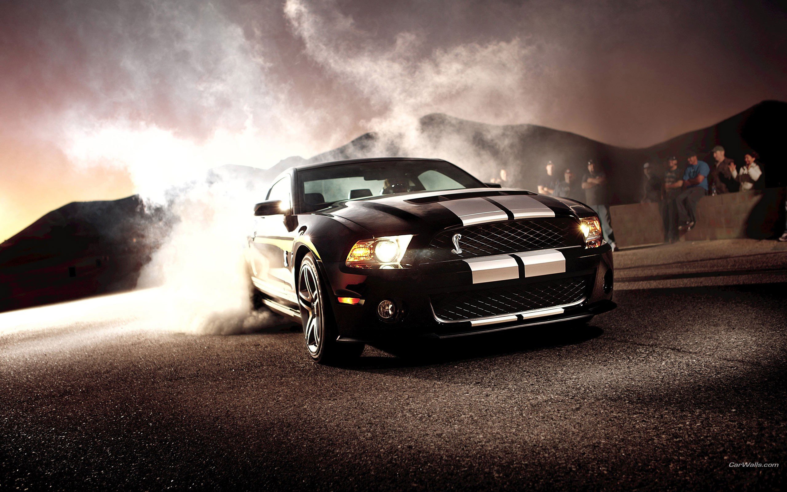 ford, Shelby, Ford, Mustang, Shelby, Gt500 Wallpaper