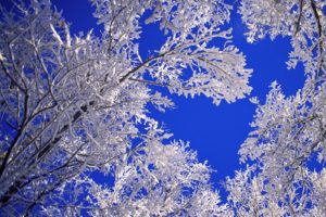 landscapes, Nature, Winter, Snow, Frost, Blue, Skies