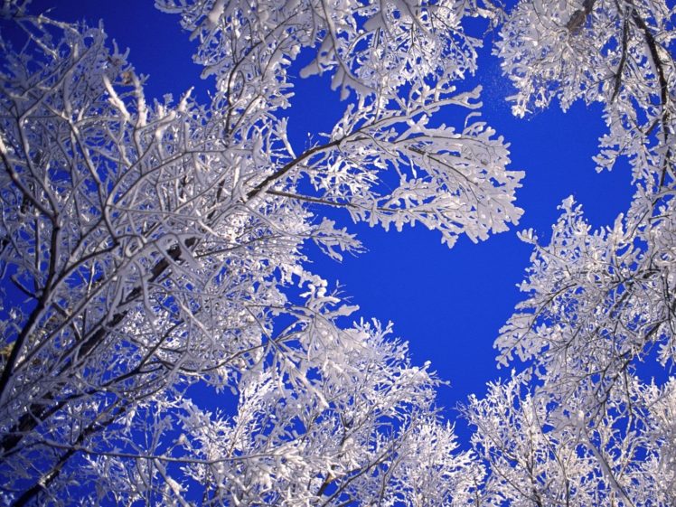 landscapes, Nature, Winter, Snow, Frost, Blue, Skies HD Wallpaper Desktop Background