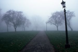 paths, Fog