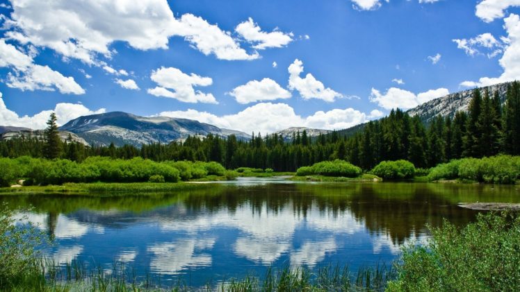 landscapes, Nature, Forests, Alaska, Lakes, Land HD Wallpaper Desktop Background