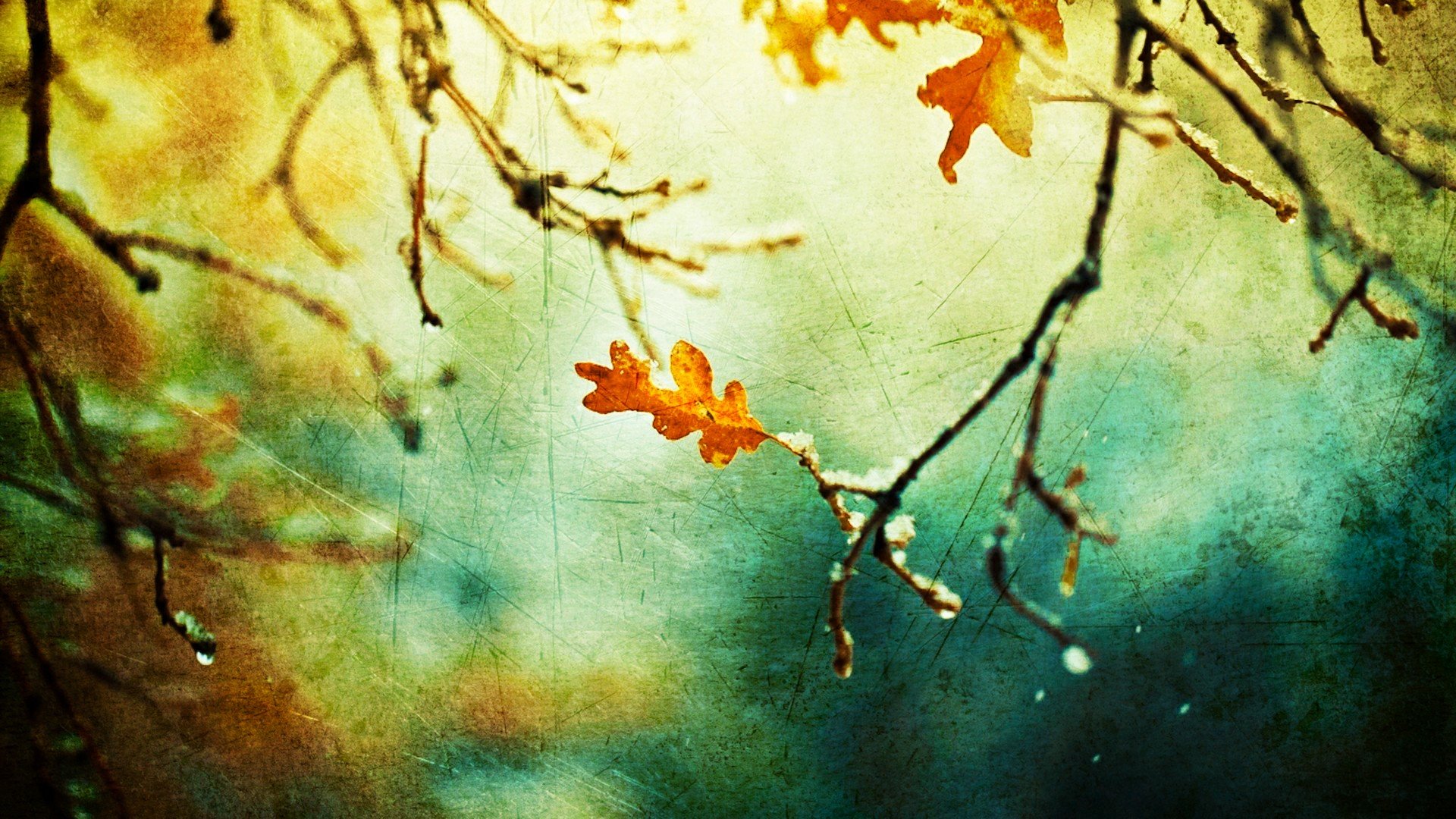 nature, Autumn, Grunge, Sunlight, Branches Wallpaper