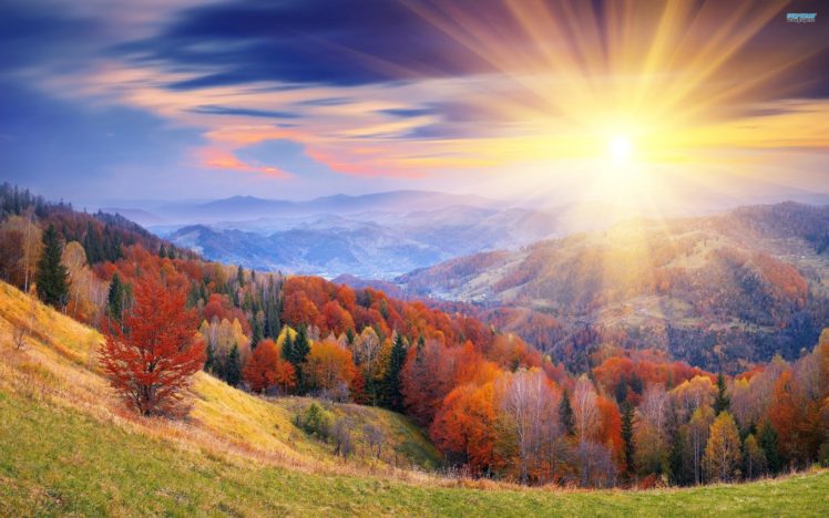 sunrise, Mountains, Autumn, Forests, Leaves HD Wallpaper Desktop Background
