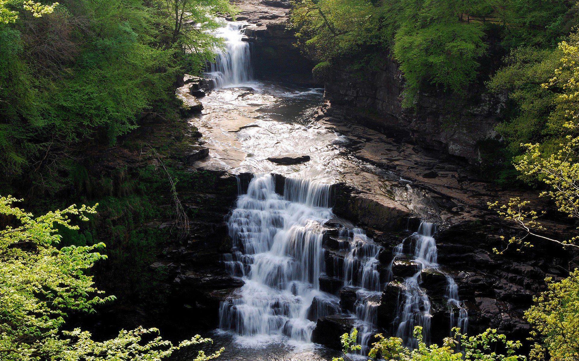forests, Waterfalls Wallpaper