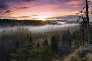 sunrise, Landscapes, Nature, Trees, Dawn, Forests, Hills, Fog, Mist, Finland, Hdr, Photography