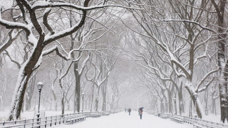 snow, Trees, Central, Park HD Wallpaper Desktop Background