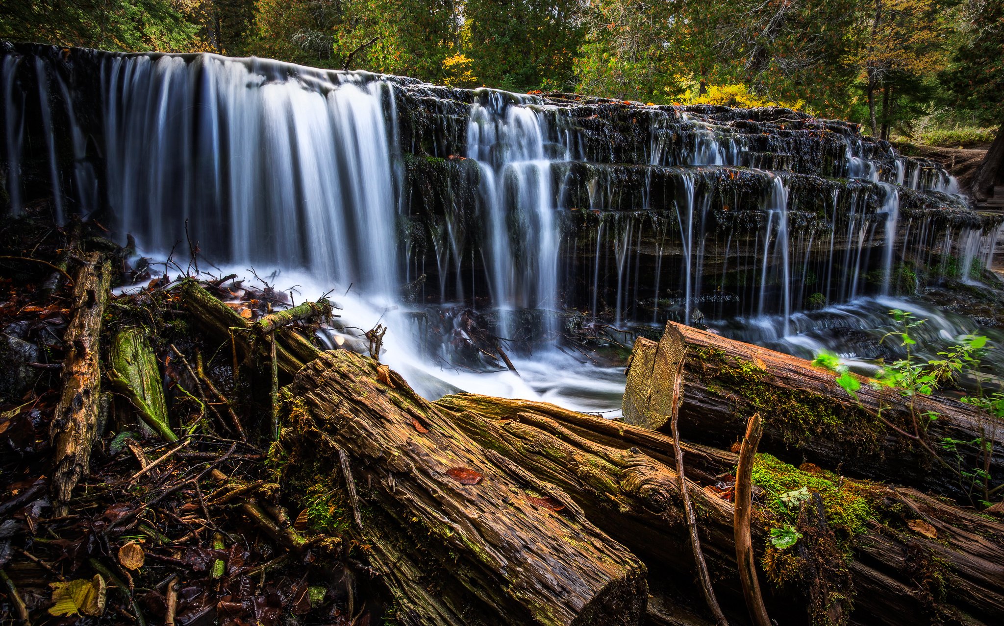 au, Train, Falls, Michigan, River, Forest, Autumn Wallpaper