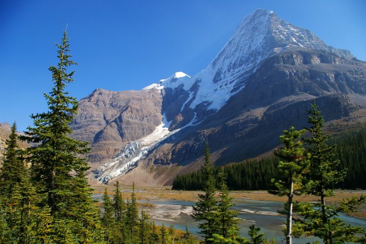 canada, Parks, Mountains, Mount, Robson, Fir, Nature, River HD Wallpaper Desktop Background