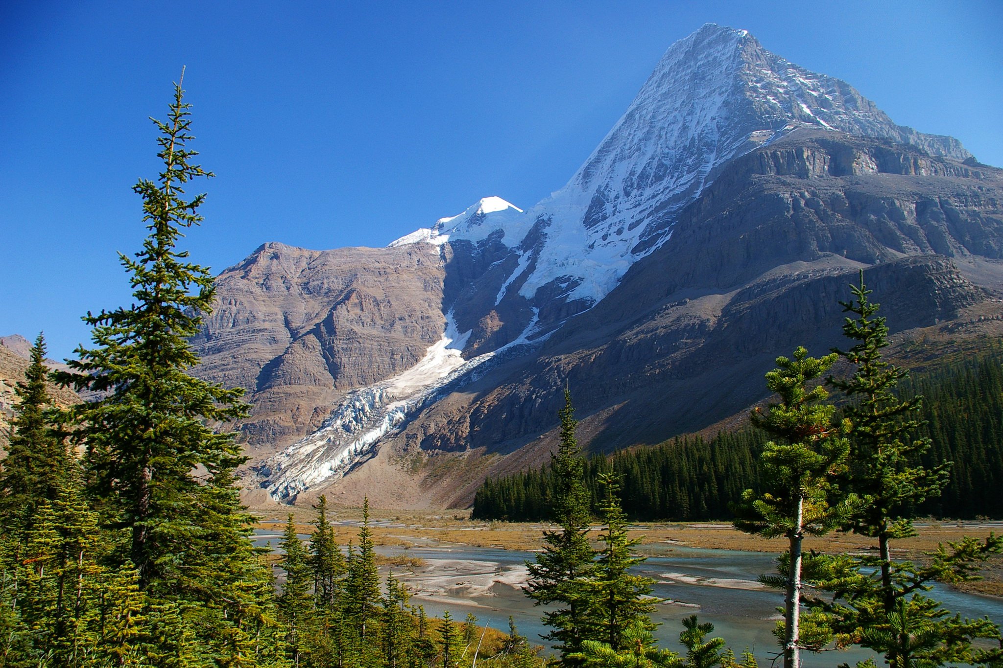 canada, Parks, Mountains, Mount, Robson, Fir, Nature, River Wallpaper