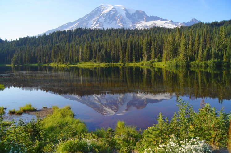 lake, Forest, Mountain, Landscape, Reflection HD Wallpaper Desktop Background