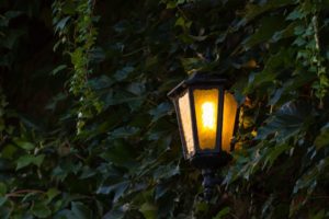 lantern, Leaves, Light, Shadow, Lamp, Bokeh