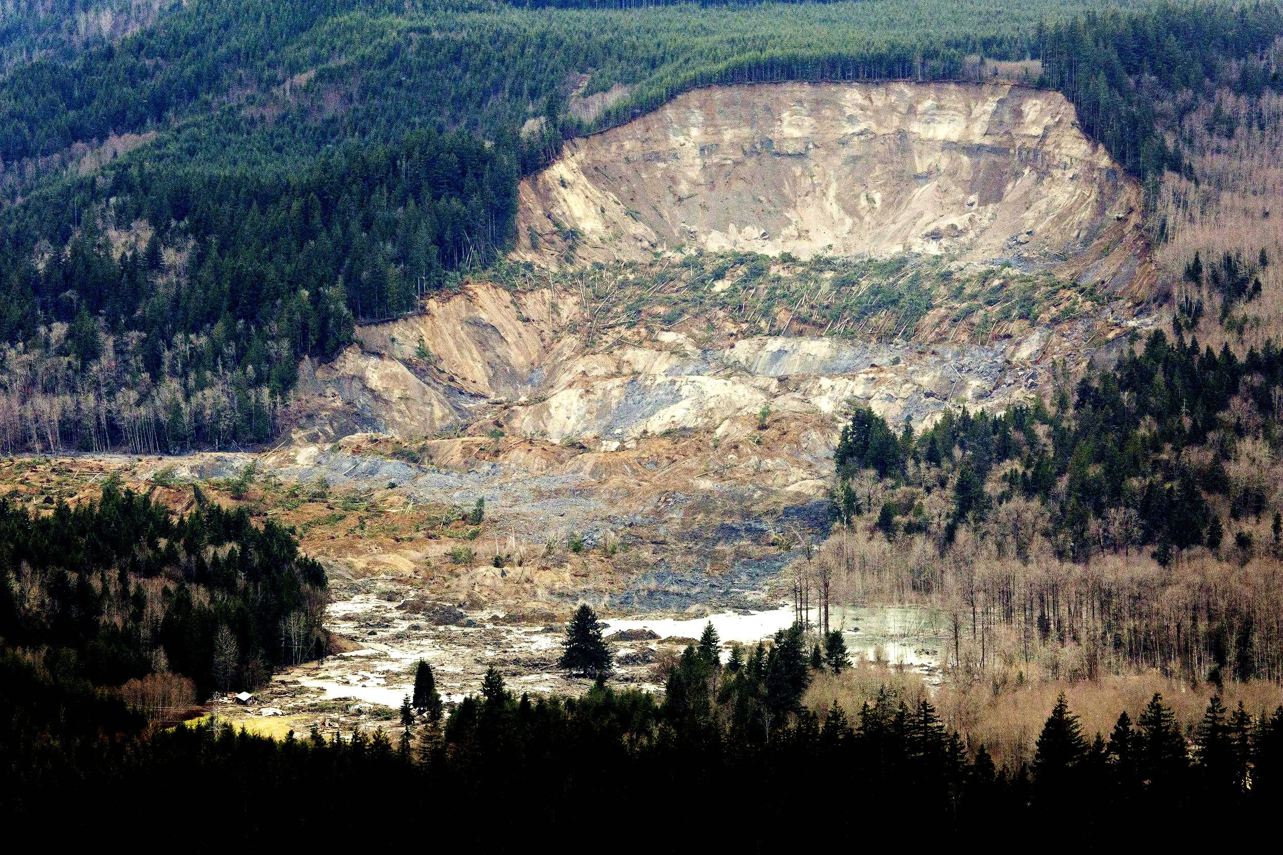 snohomish, Mudslide, Landslide, Nature, Natural, Disaster, Landscape, Forest Wallpaper