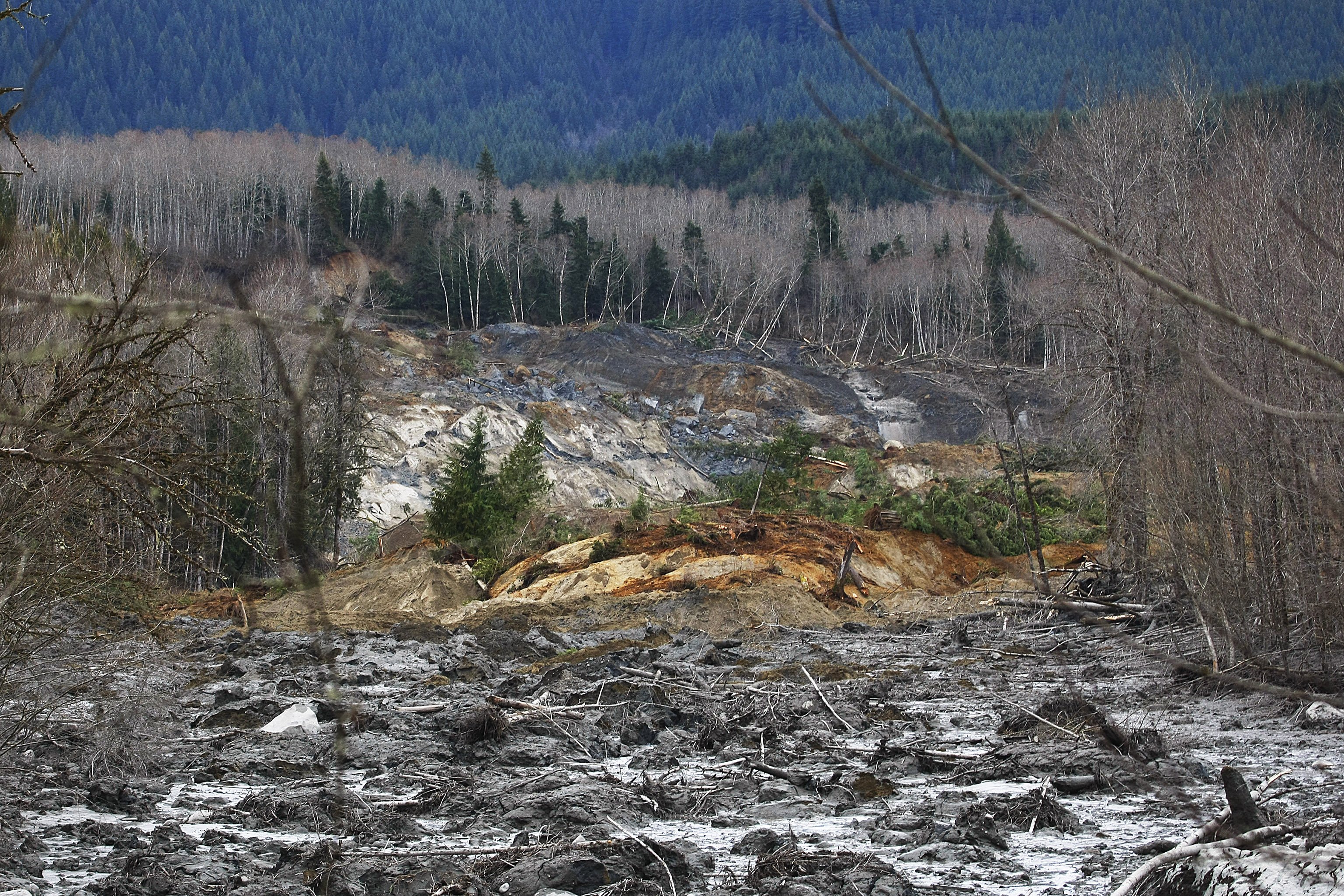 snohomish, Mudslide, Landslide, Nature, Natural, Disaster, Landscape, Forest, River Wallpaper