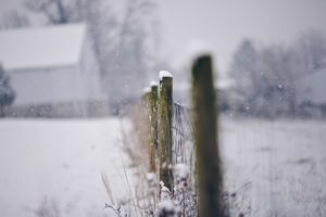snow, Fences, Depth, Of, Field
