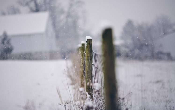 snow, Fences, Depth, Of, Field HD Wallpaper Desktop Background