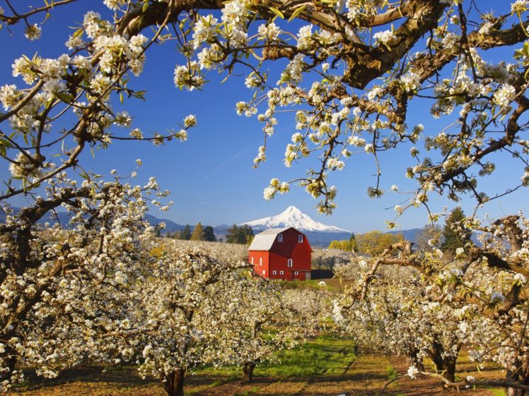 valleys, Blossoms, Oregon HD Wallpaper Desktop Background