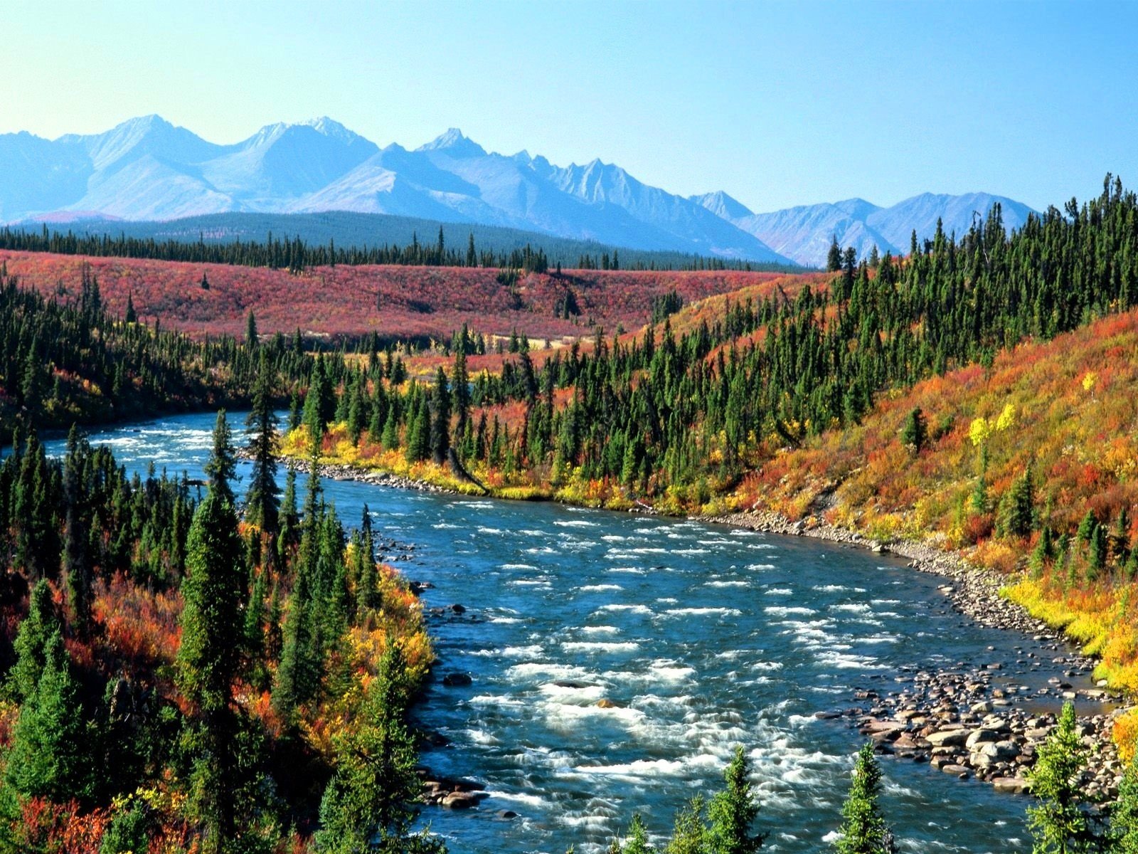Dòng sông Yukon uốn khúc, len lỏi qua những cánh rừng rậm rạp. Những khu rừng yên bình cùng với tiếng nước chảy đều tạo nên một bức tranh thiên nhiên tuyệt vời của Yukon. Click ngay để tải hình nền dòng sông Yukon đầy hoang sơ.