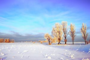 landscapes, Nature, Winter, Snow