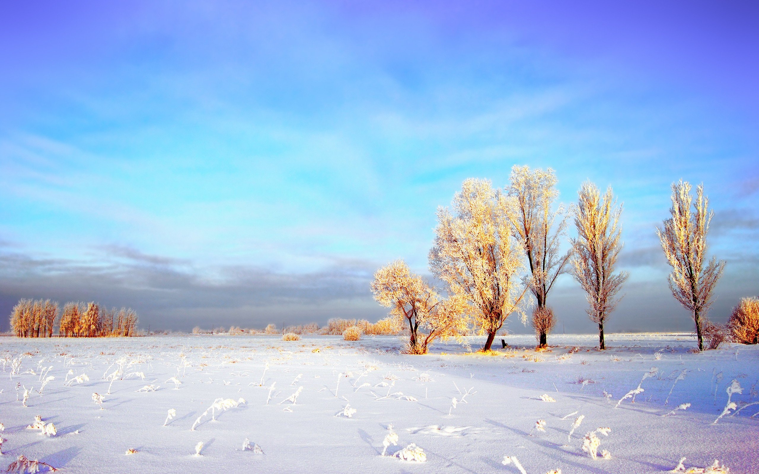 landscapes, Nature, Winter, Snow Wallpaper