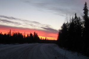 sunset, Landscapes, Nature, Trees, Forests, Roads
