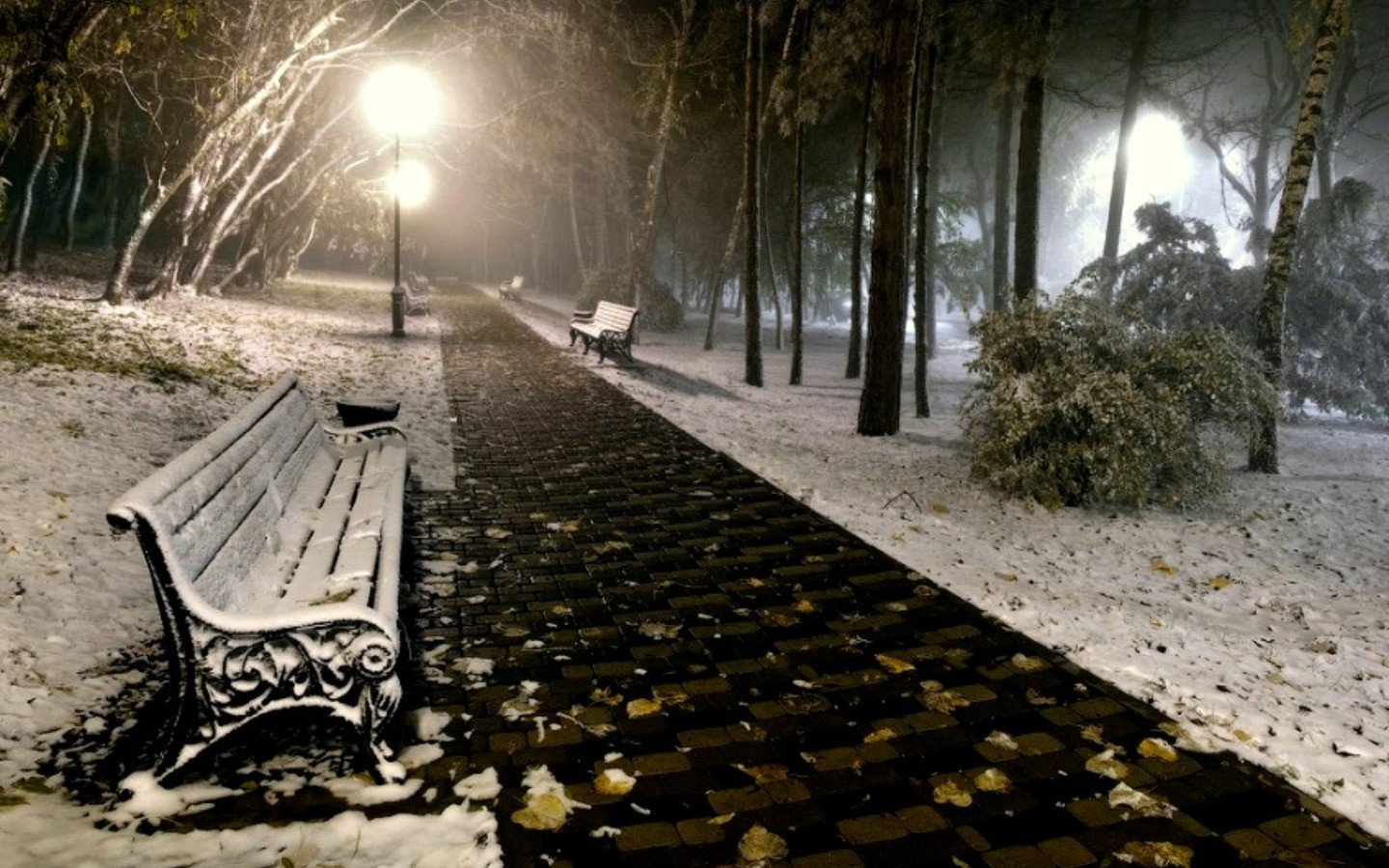 Первый снег в парке ночь