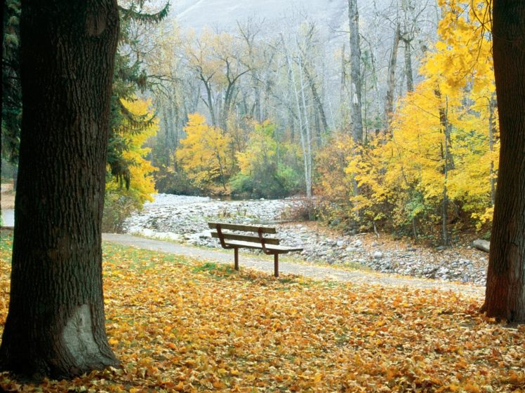 autumn, Leaves, Bench, Park, Bench, Parks, Fallen, Leaves HD Wallpaper Desktop Background
