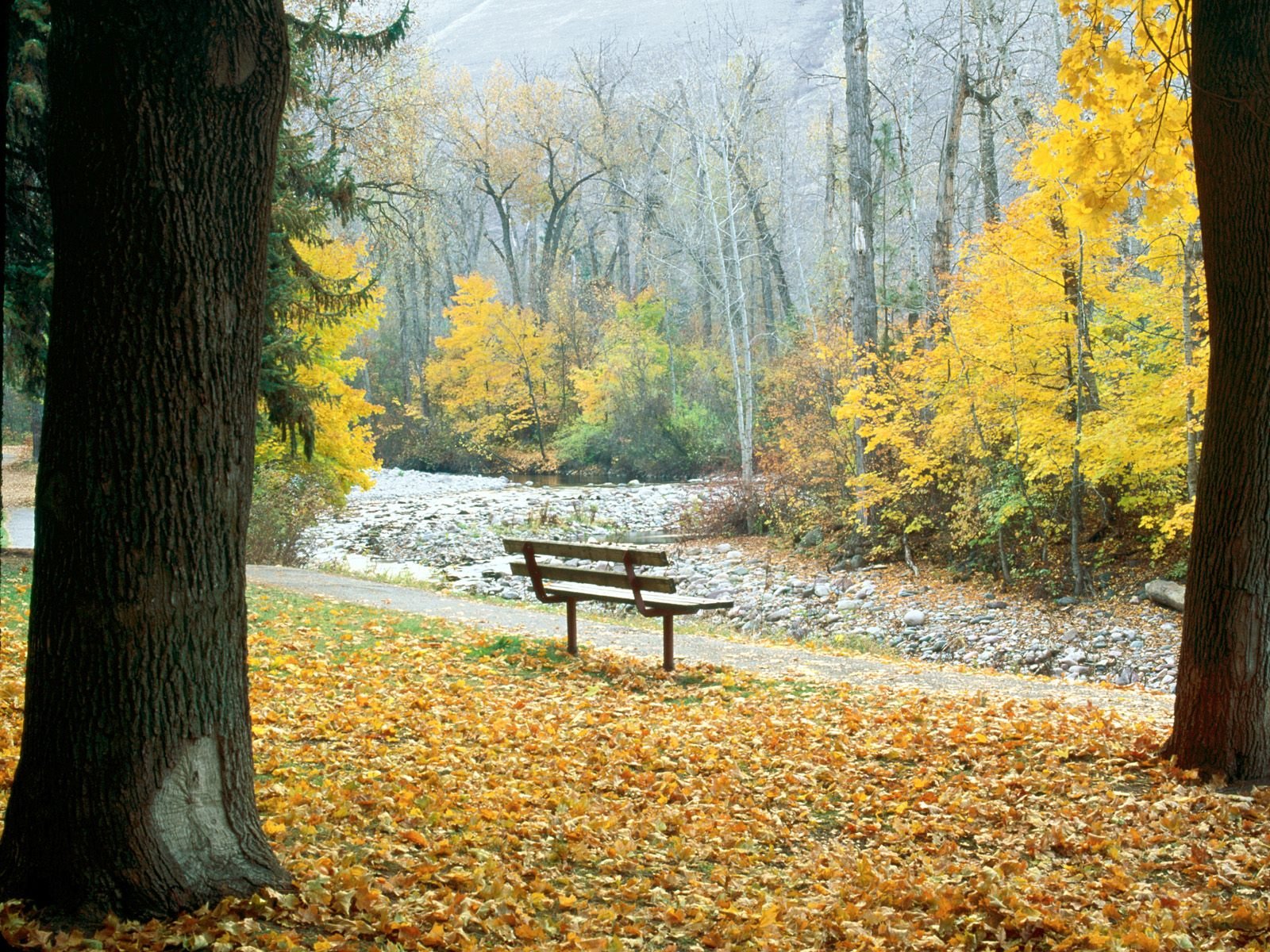 autumn, Leaves, Bench, Park, Bench, Parks, Fallen, Leaves Wallpaper