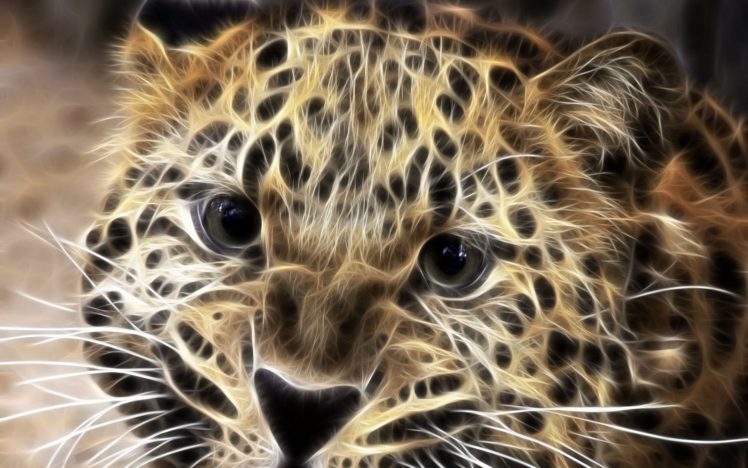 leopard, Fractals, Cg, Art HD Wallpaper Desktop Background