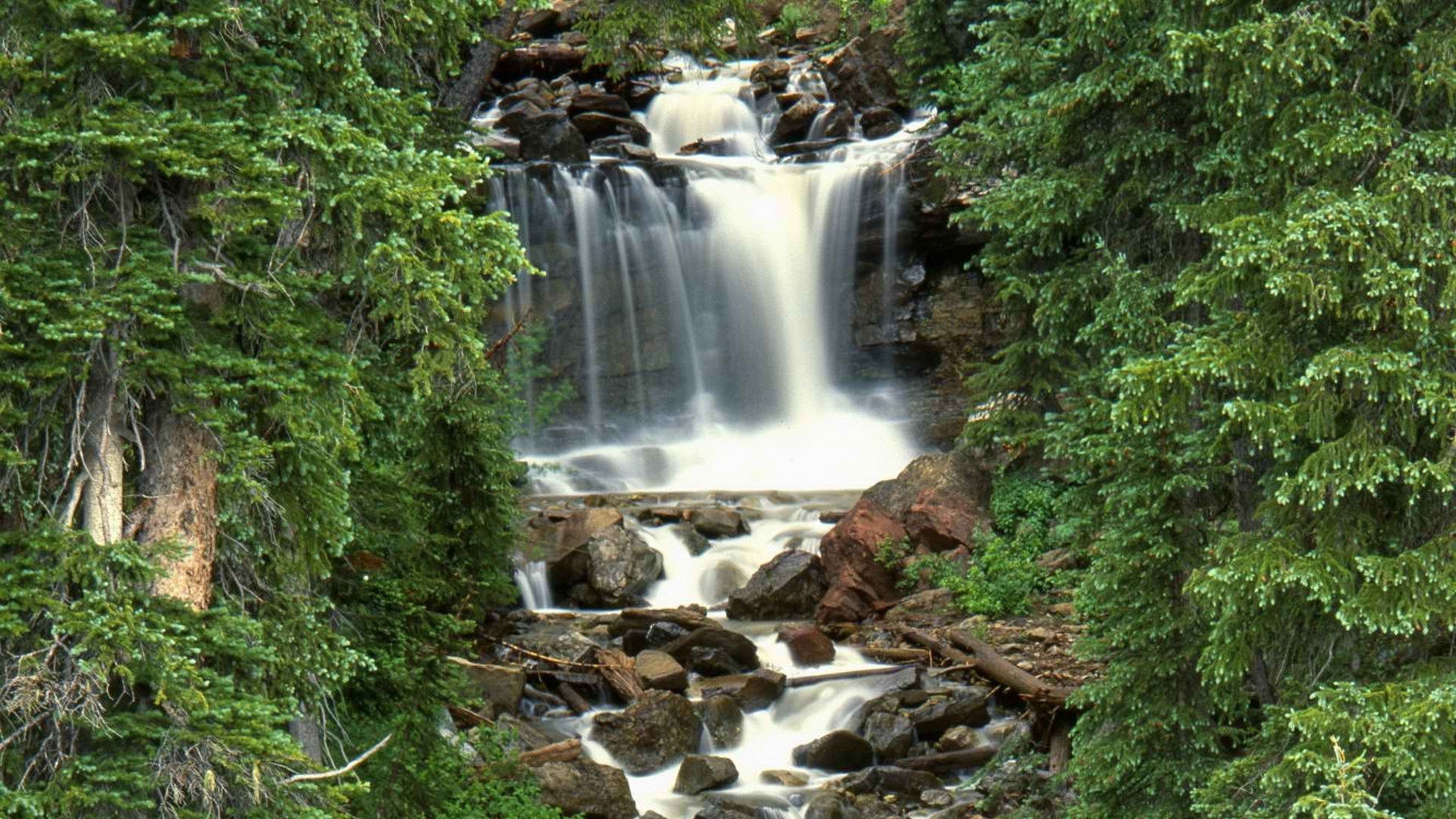 forests, National, Colorado, Waterfalls Wallpaper