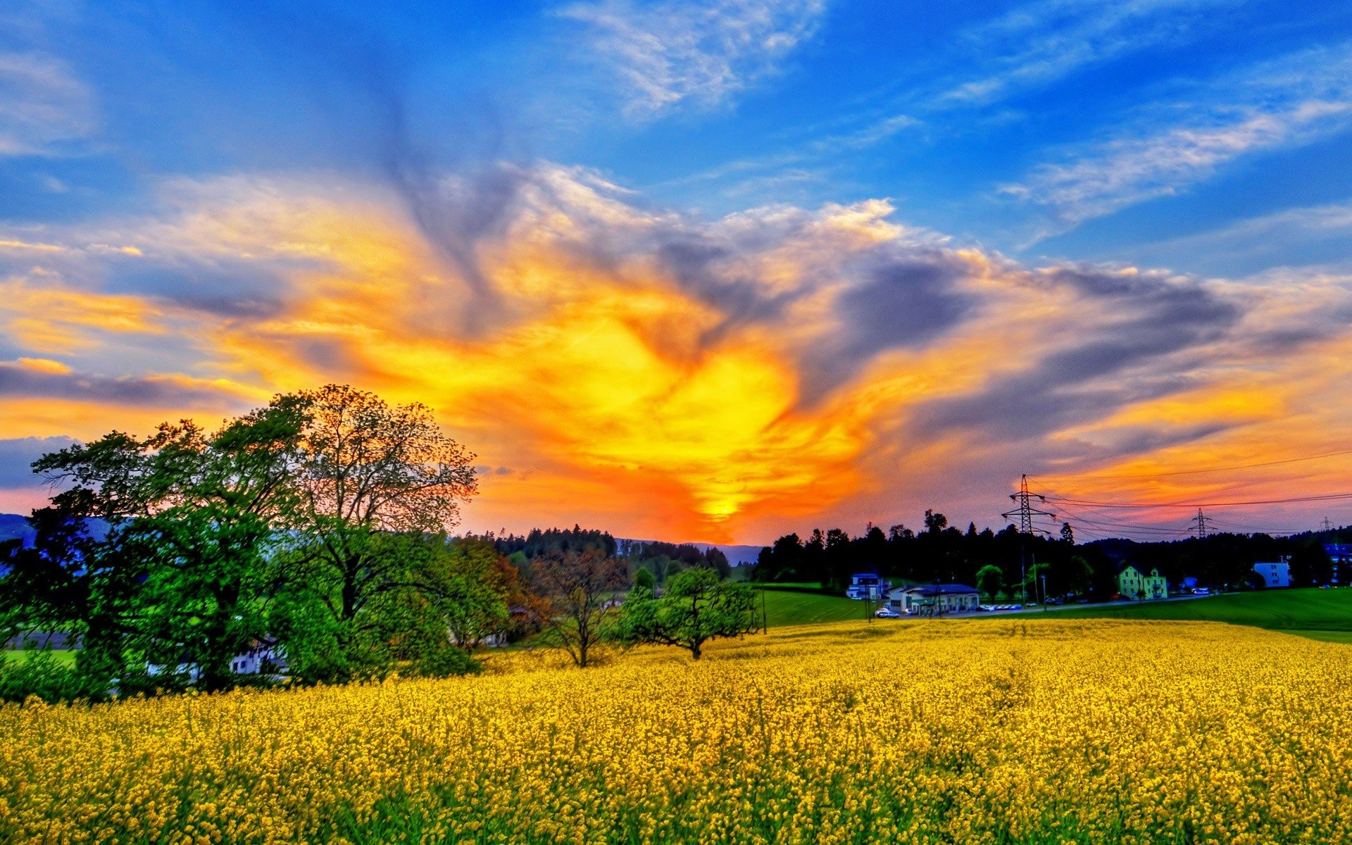 fields Wallpaper