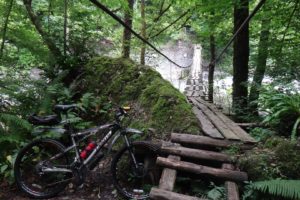 mountain, Bike, Bicycle, Bridges, Nature, Landscapes, Trees, Forest, Sports