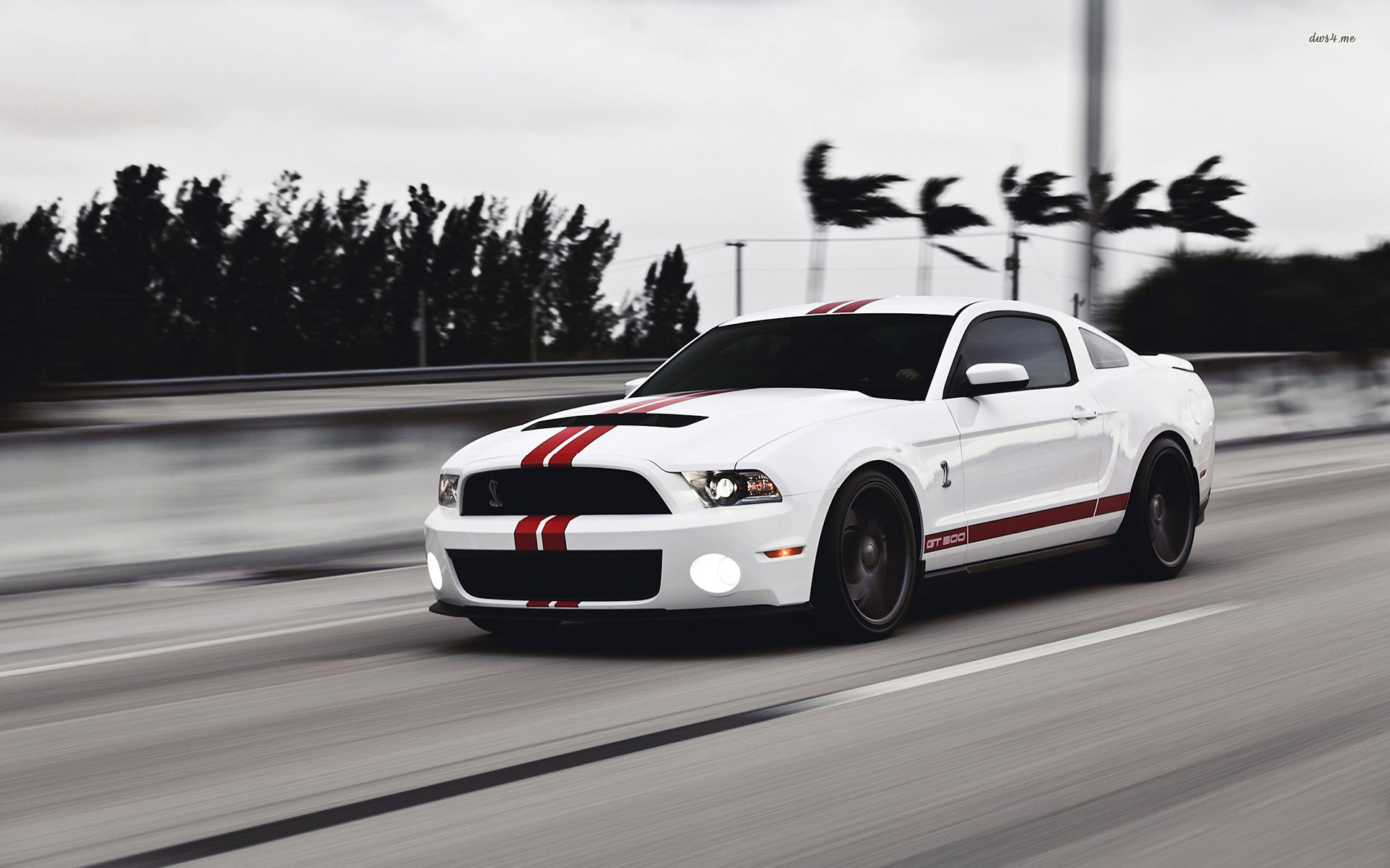 ford, Mustang, Roads Wallpaper