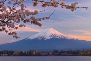 japan, Mount, Fuji, Cherry, Blossoms