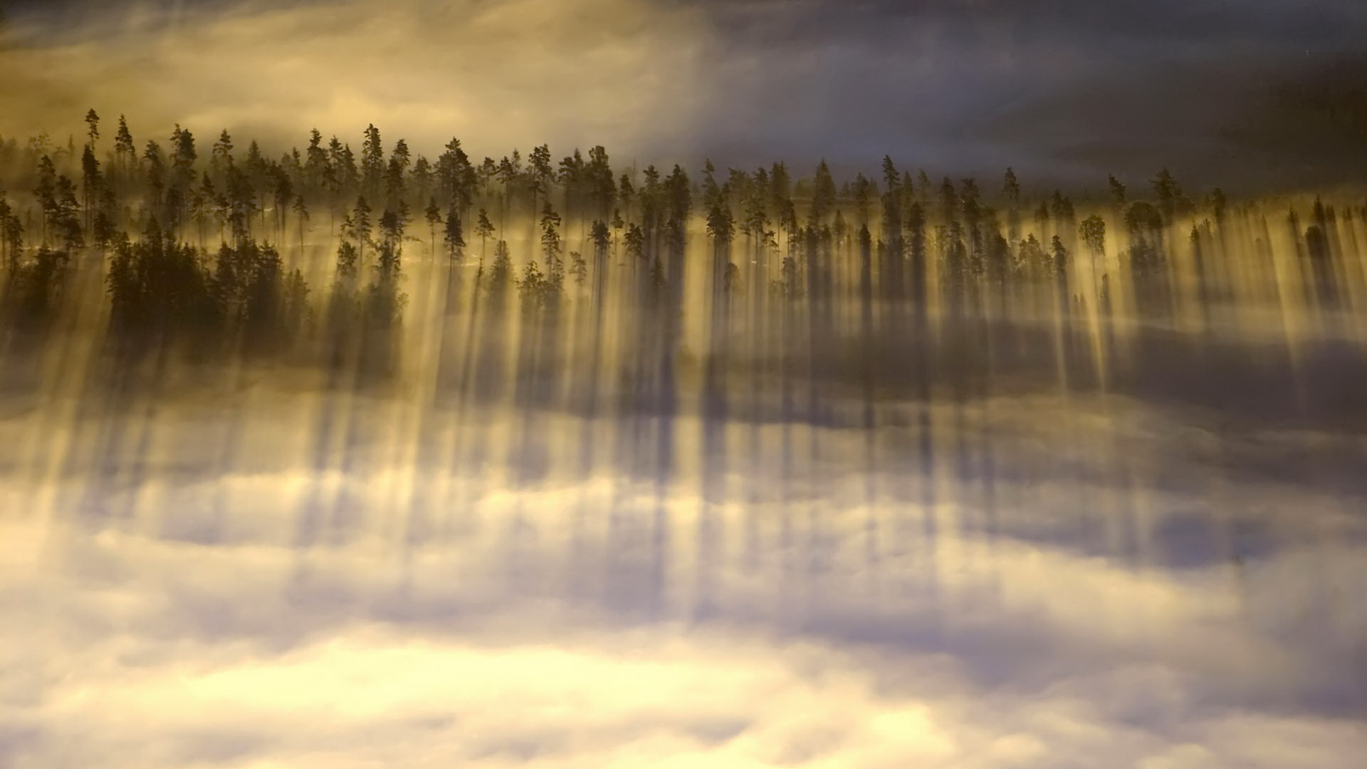 landscapes, Clouds, Forest, Fog Wallpaper